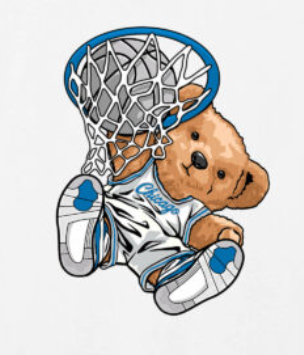 Dunking Teddy Bear Military Blue 4's Collection