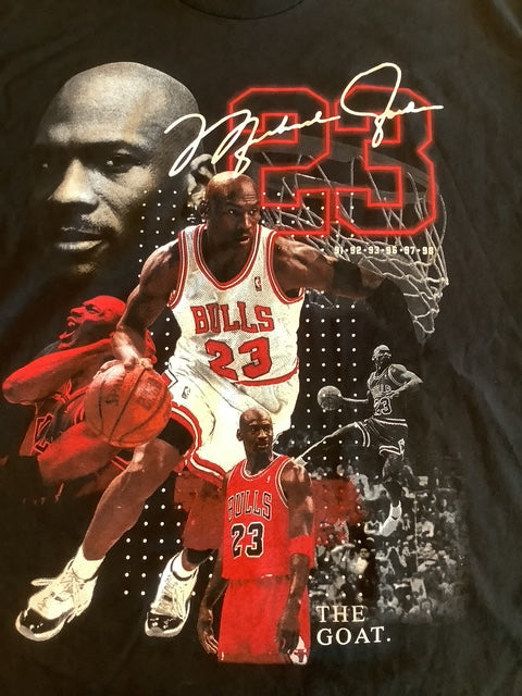 Micheal Jordan  The Goat